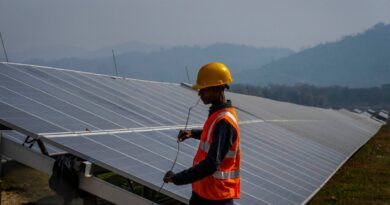 Jamaica plans region’s largest renewable energy tender