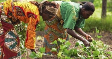 Ghana signals readiness to explore MoU on green development with China