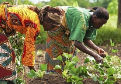 Ghana signals readiness to explore MoU on green development with China