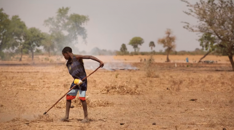 Colonialism and climate risk are connected: evidence from Ghana and Senegal