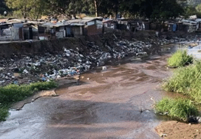 African cities aren’t doing enough to adapt to climate change: lessons from Durban and Harare